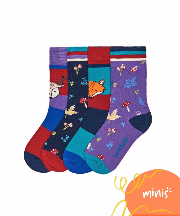 NUTKIN SOCK BOX MULTI