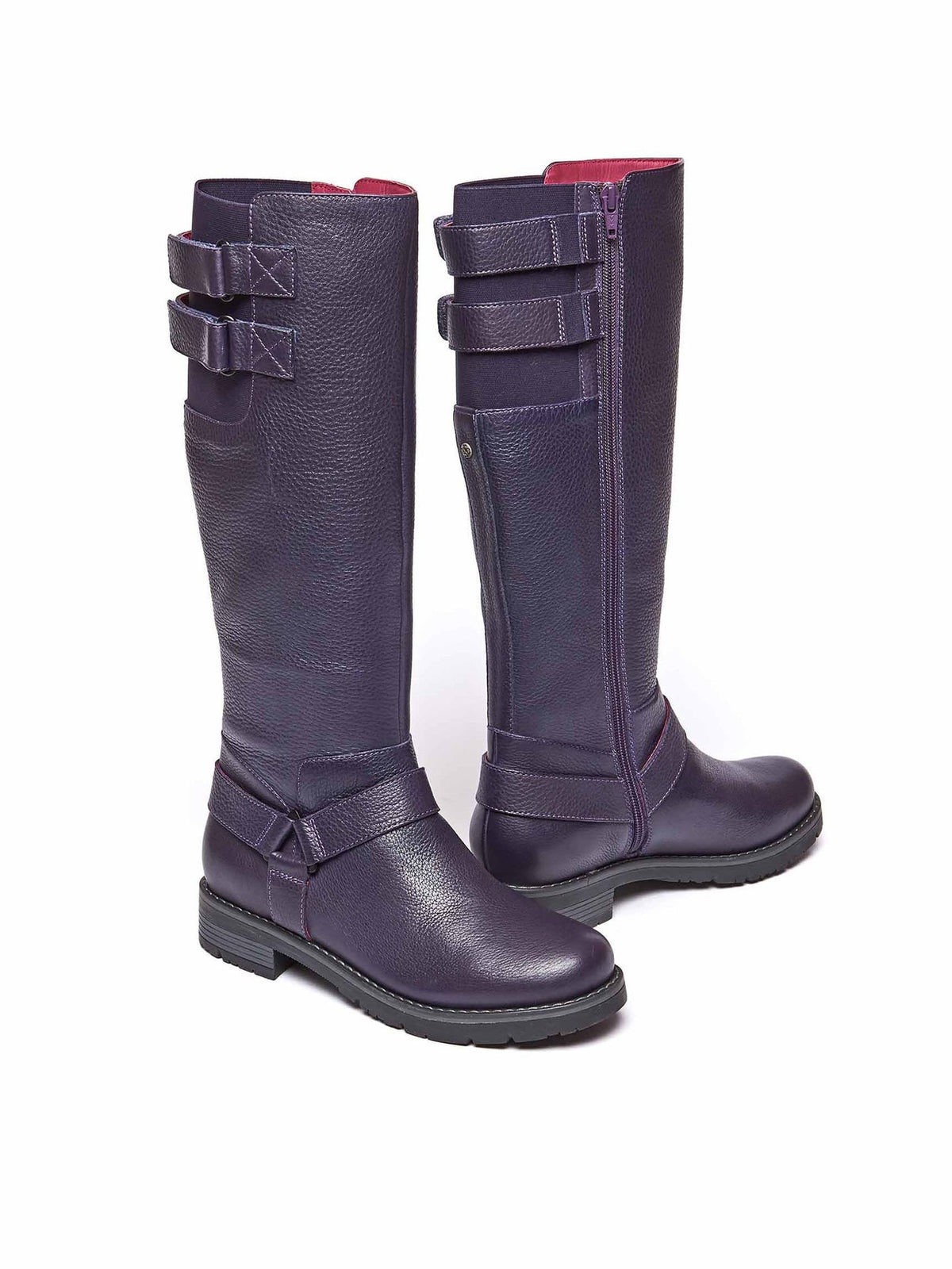 Purple HALDON - HALDON JEWEL PURPLE