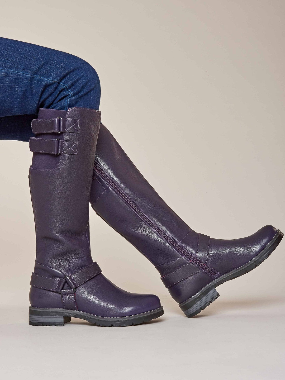 Purple HALDON - HALDON JEWEL PURPLE