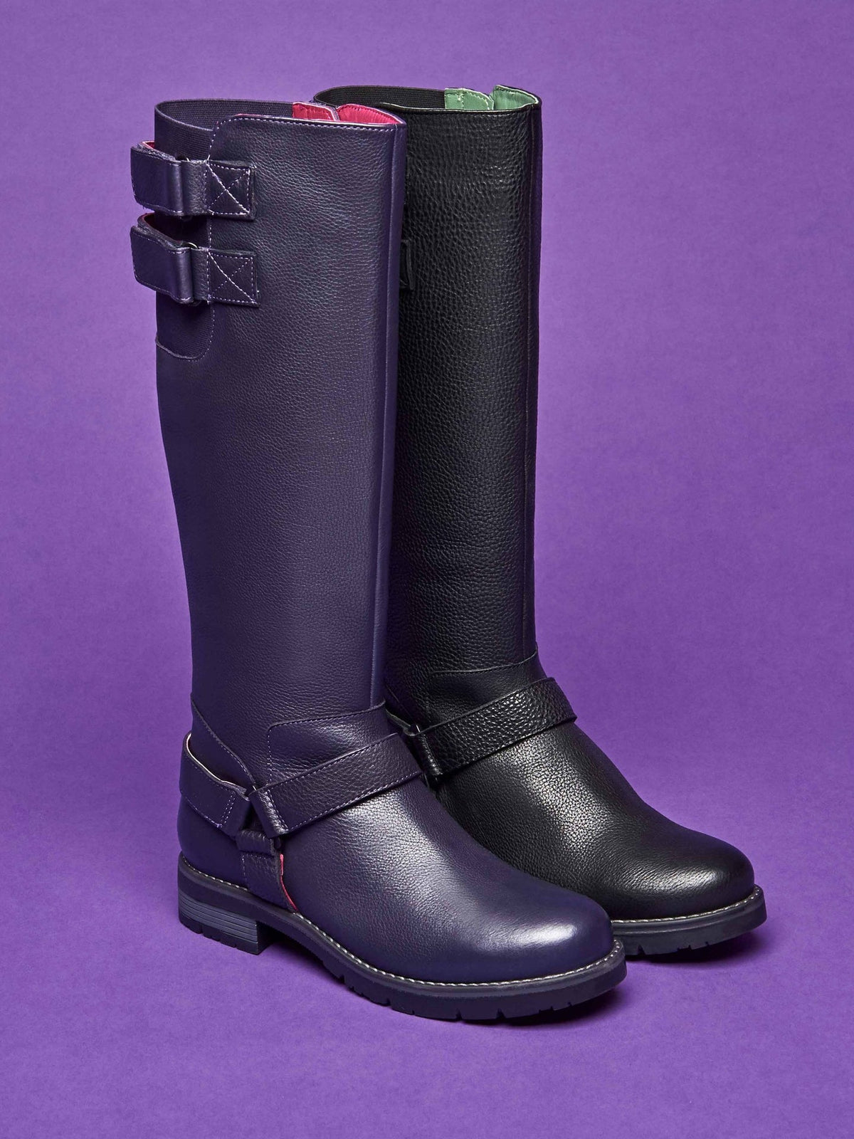Purple HALDON - HALDON JEWEL PURPLE