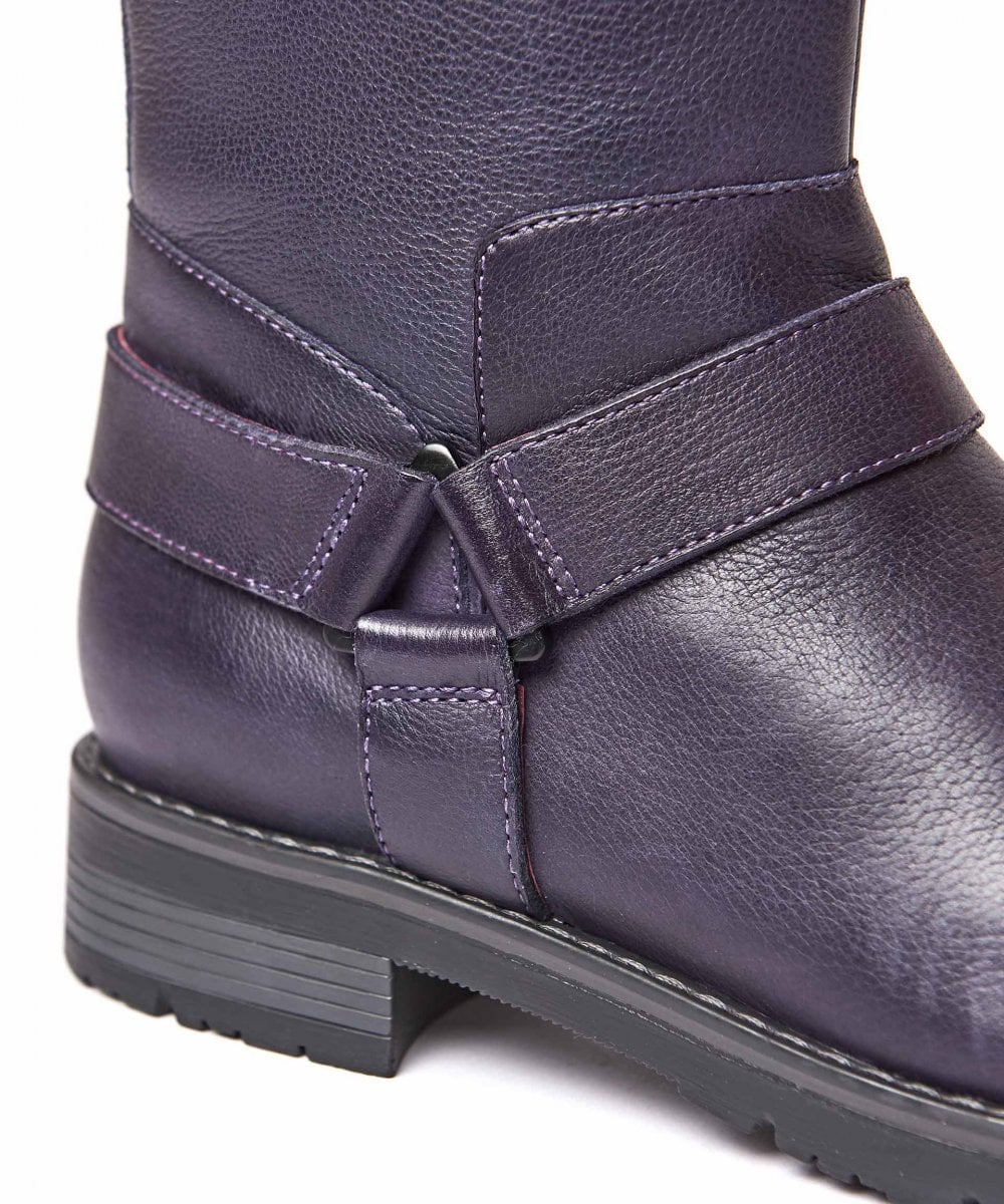 Purple HALDON - HALDON JEWEL PURPLE