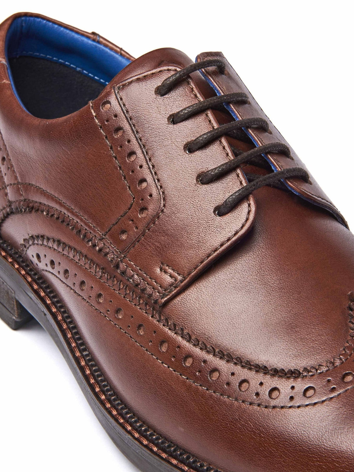 Brown men's leather brogue shoes - BENNETT BROWN