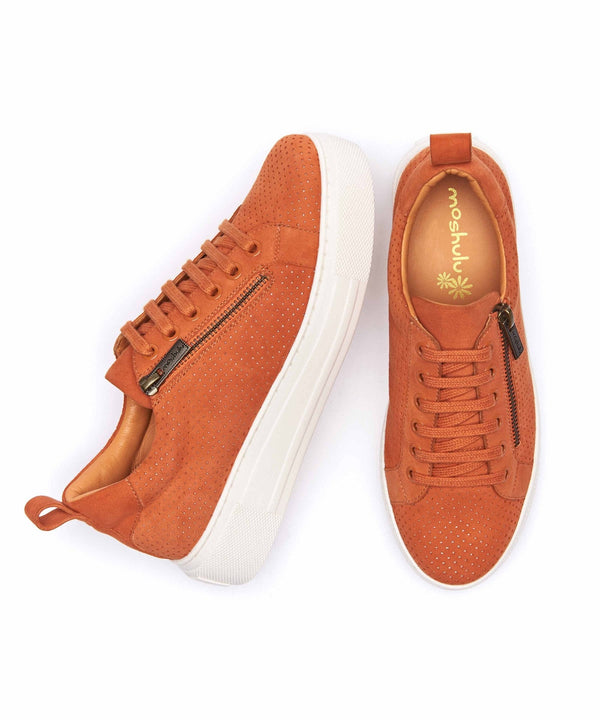 DAWLISH ORANGE